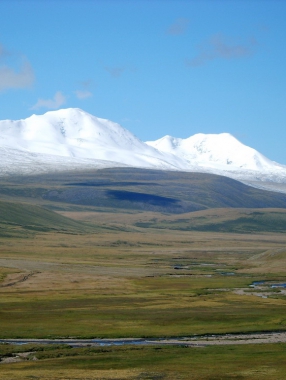 Altai tavan bogd